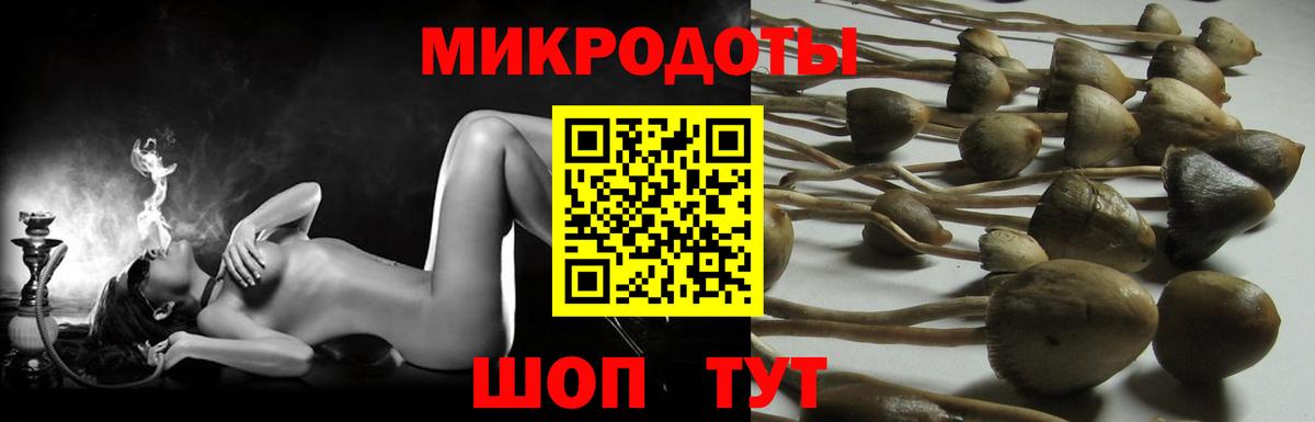 Южно-Сахалинск  Псилоцибиновые грибы мицелий  Вход с VPN 